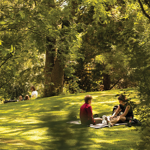 2 personnes assises dans l'herbe