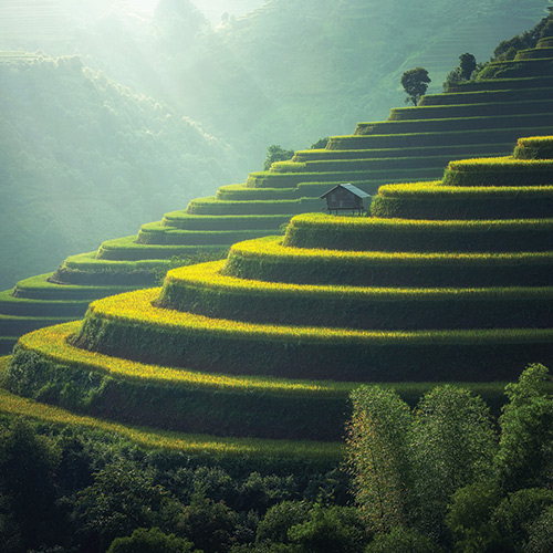 Photo de rizières à Bali