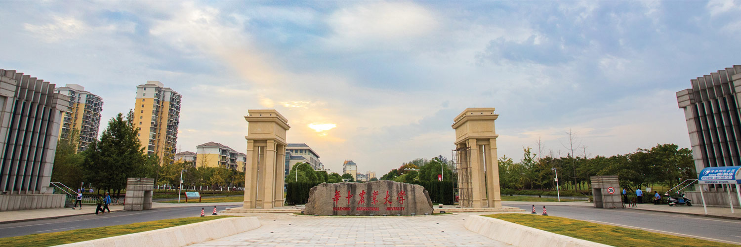 Photo d'une université prise en Chine. Nous apercevons 2 tours où au milieu une pierre est gravé avec des écritures chinoises rouge