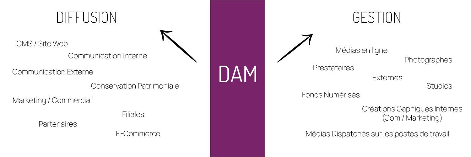 Schéma pour expliquer les fonctionnalités d'une solution DAM