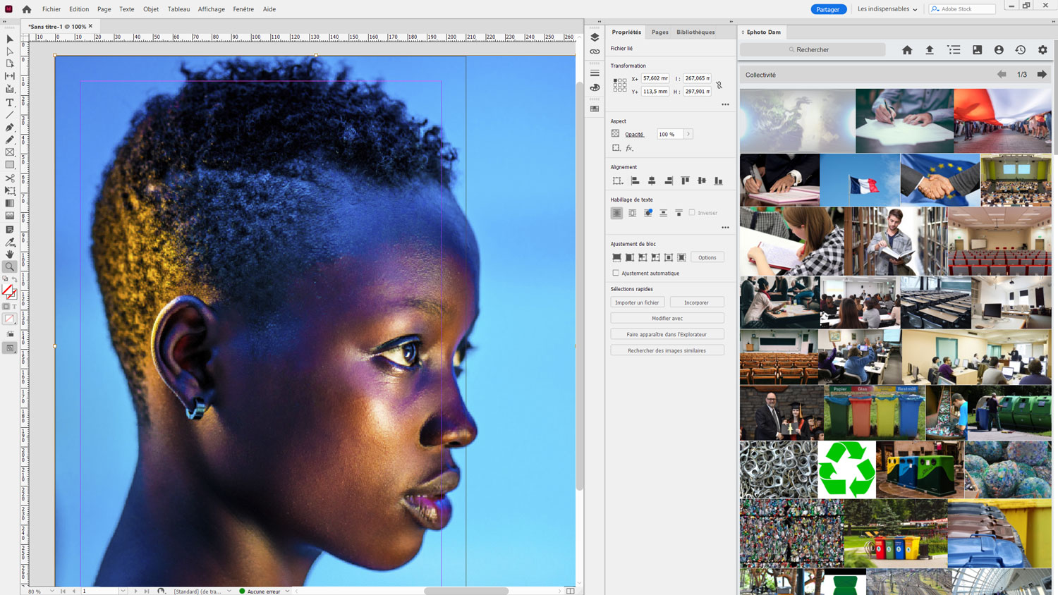 Interface Indesign avec le plugin Ephoto Dam