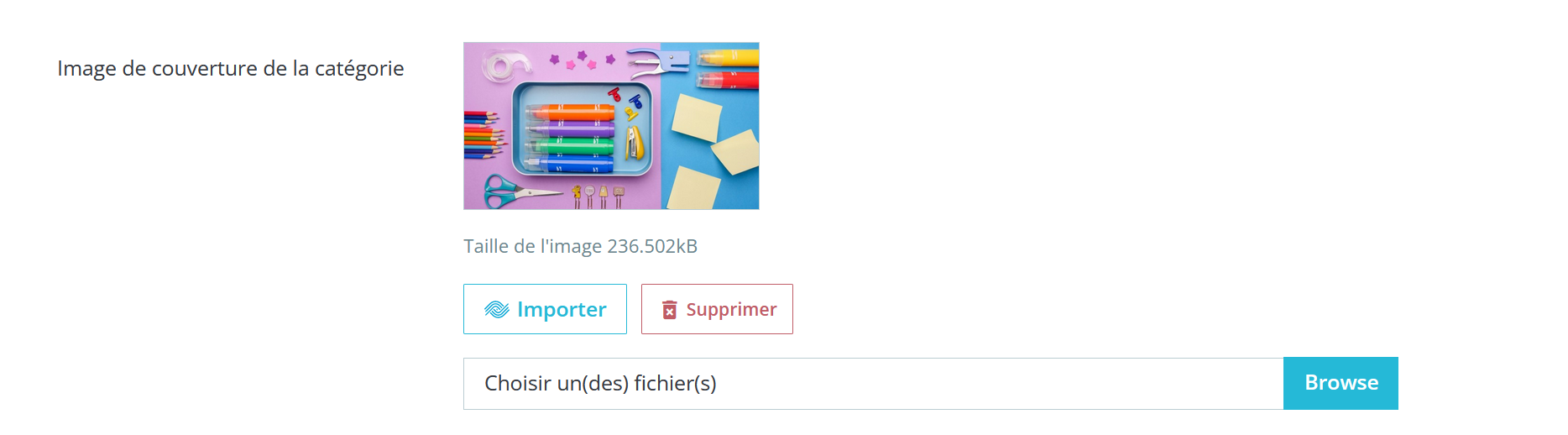 Capture d'écran de l'interface du plugin PrestaShop qui montre que l'on peut importer des photos via Ephoto Dam