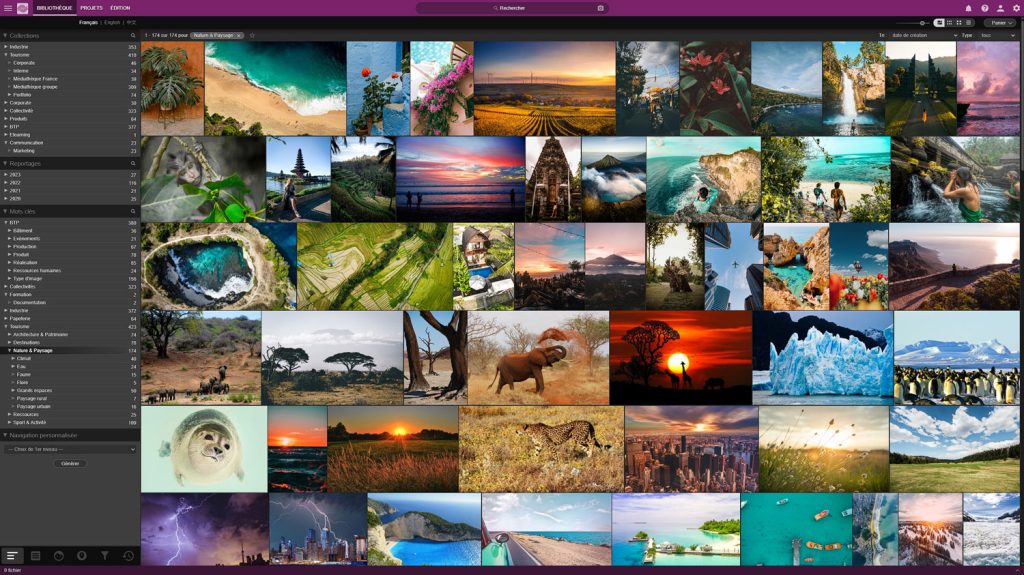 Interface du logiciel Ephoto Dam montrant le thésaurus avec différents mots clés