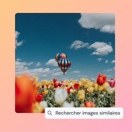 Image de deux montgolfières qui survolent un champ de tulipes