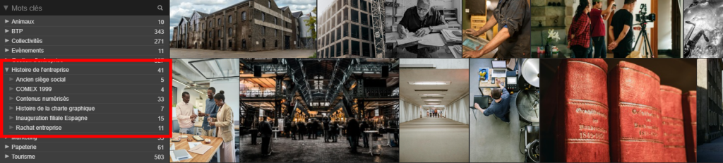 Exemple de plusieurs mots clés racines et sous mots clés dans l'interface d'Ephoto Dam