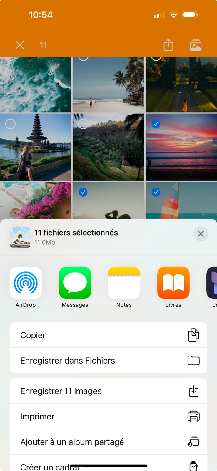 Capture d'écran de l'application mobile Ephoto Dam, montrant les albums d'un utilisateur dans le logiciel de gestion de photothèque