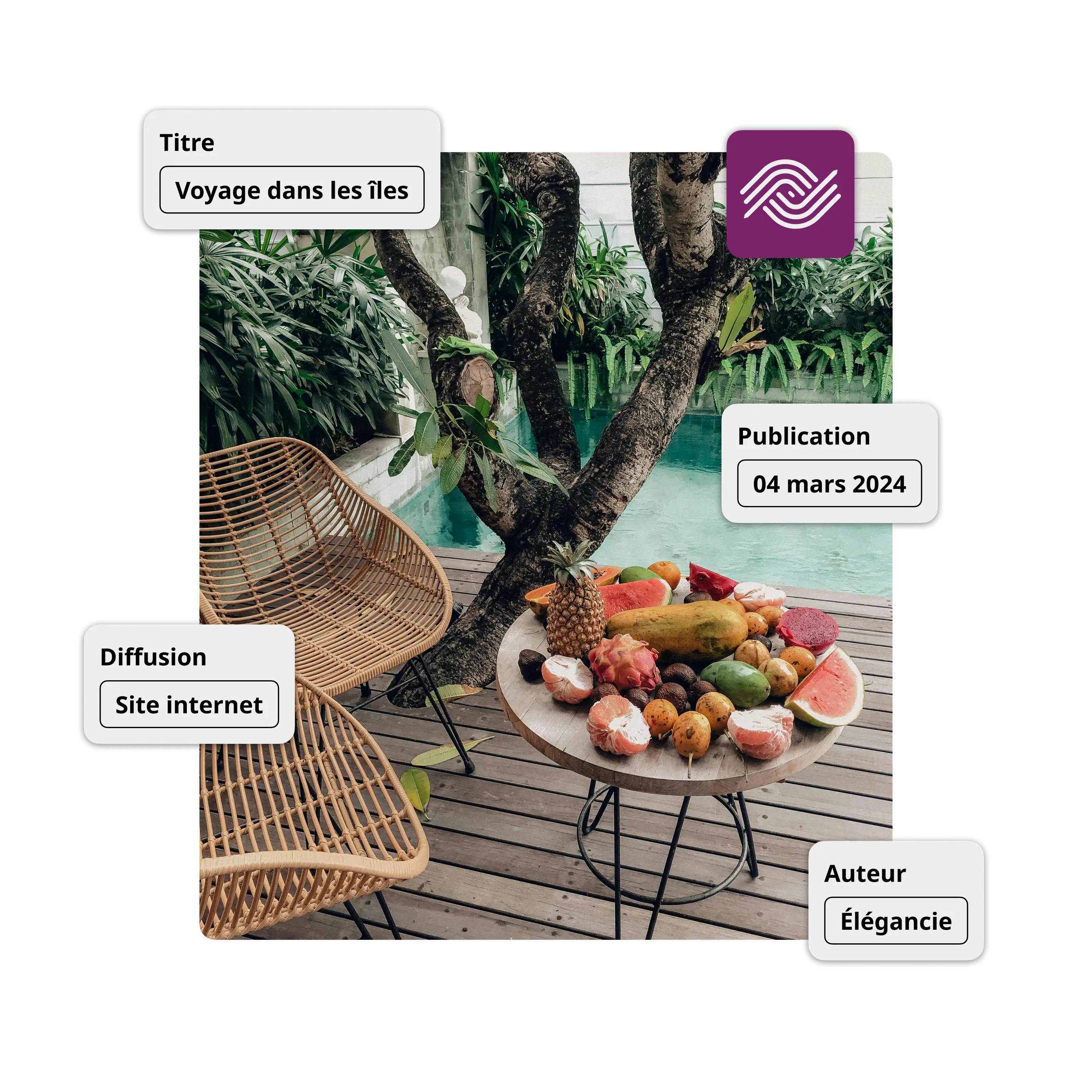 Image de l'intégration du plungin Ephoto Dam pour WordPress avec gestion avancée des médias, optimisation des images et gestion des légendes directement depuis l'extension.