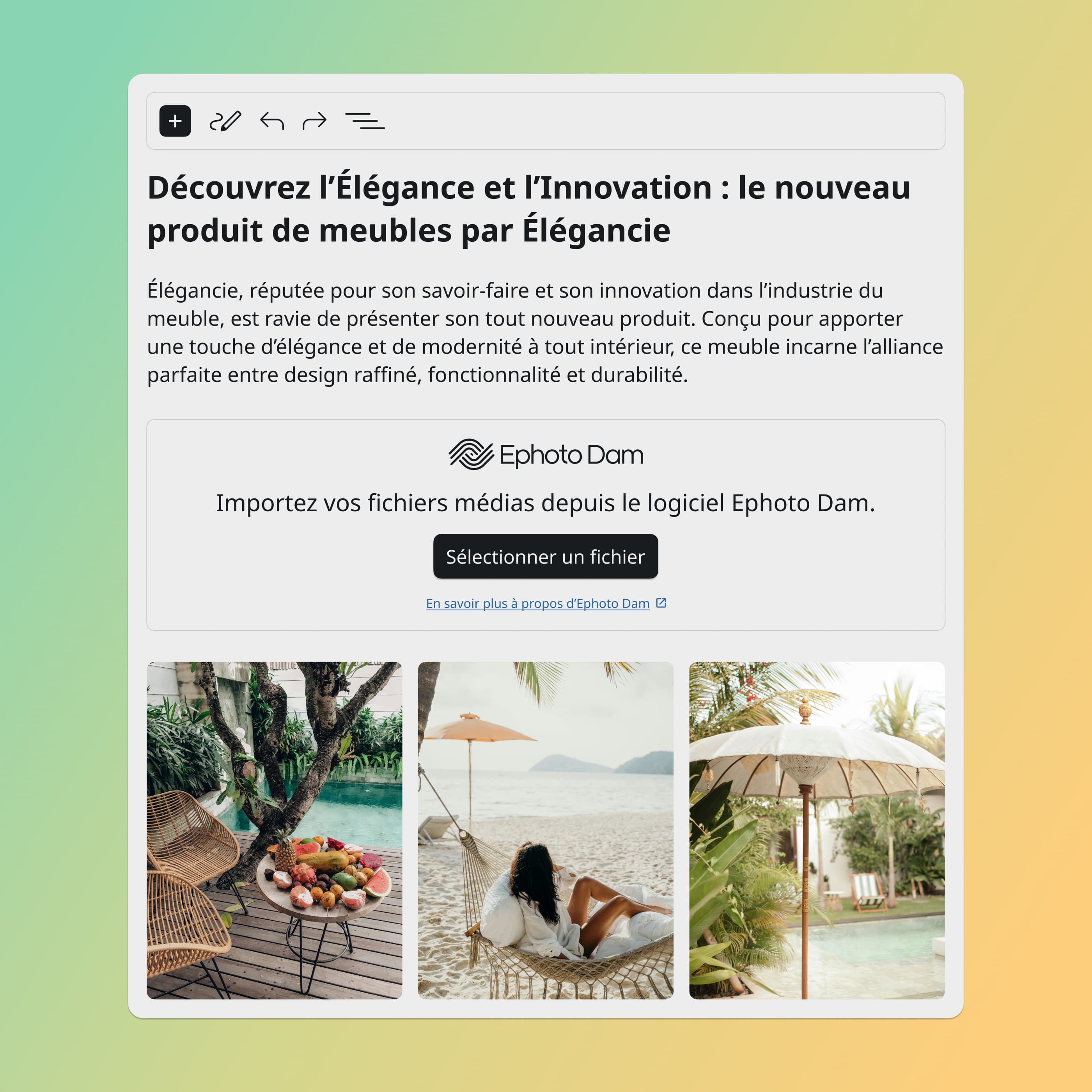Interface WordPress avec le plugin Ephoto Dam, facilitant l'intégration de médias depuis la solution de Digital Asset Management.