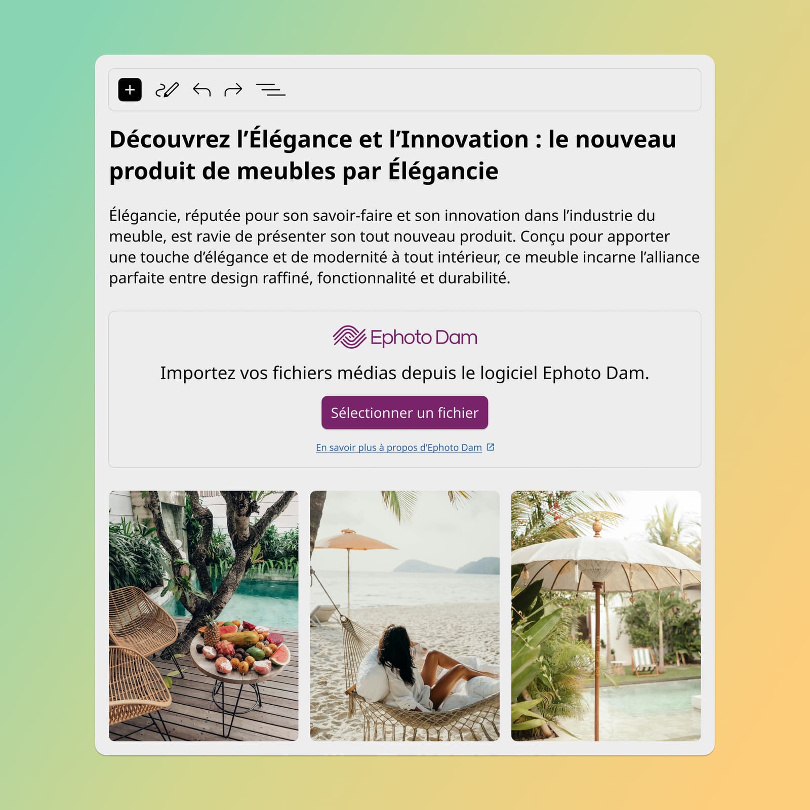 Interface WordPress avec le plugin Ephoto Dam, facilitant l'intégration de médias depuis la solution de Digital Asset Management.