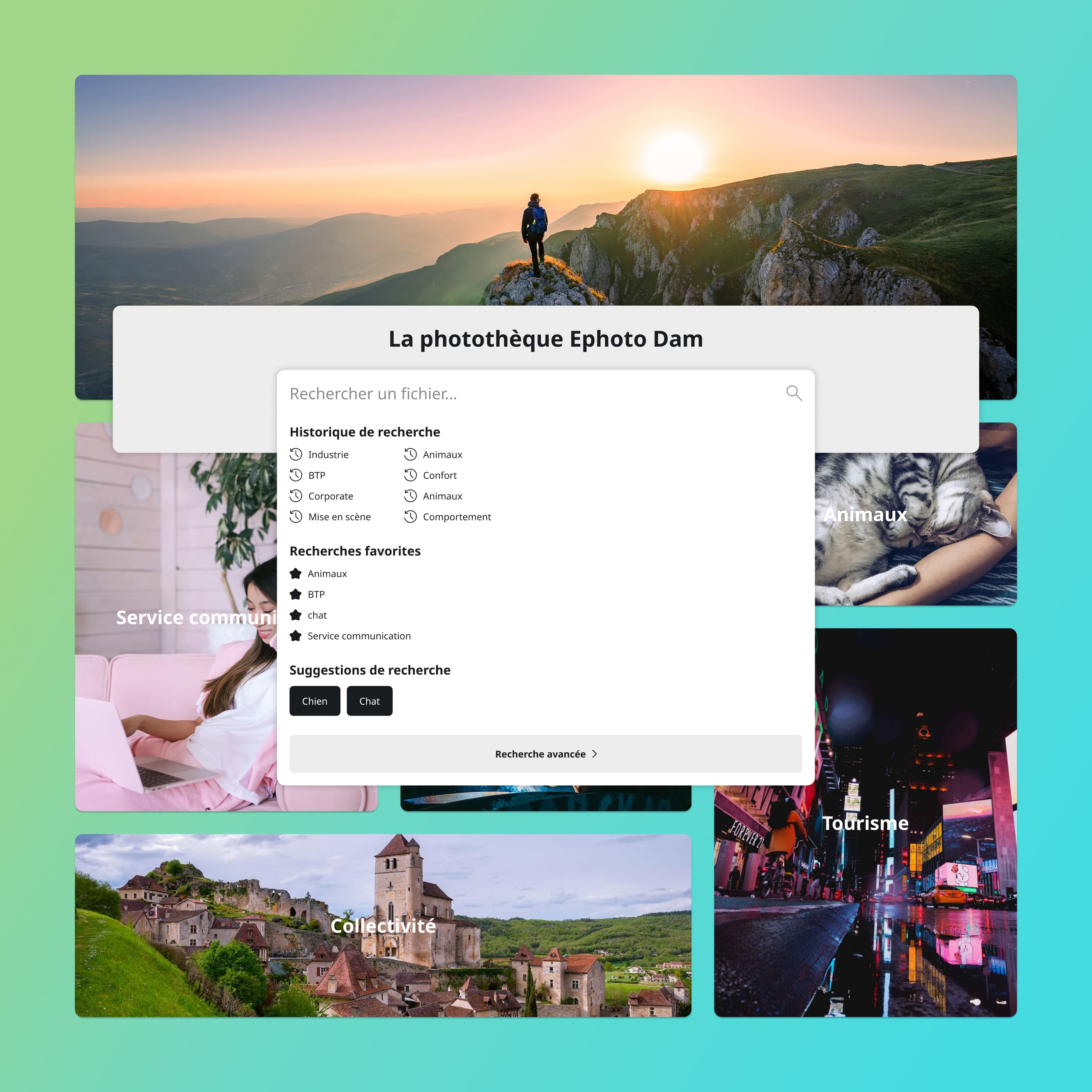 Interface des portfolios et de recherche intuitive dans le Front-Office d'Ephoto Dam.