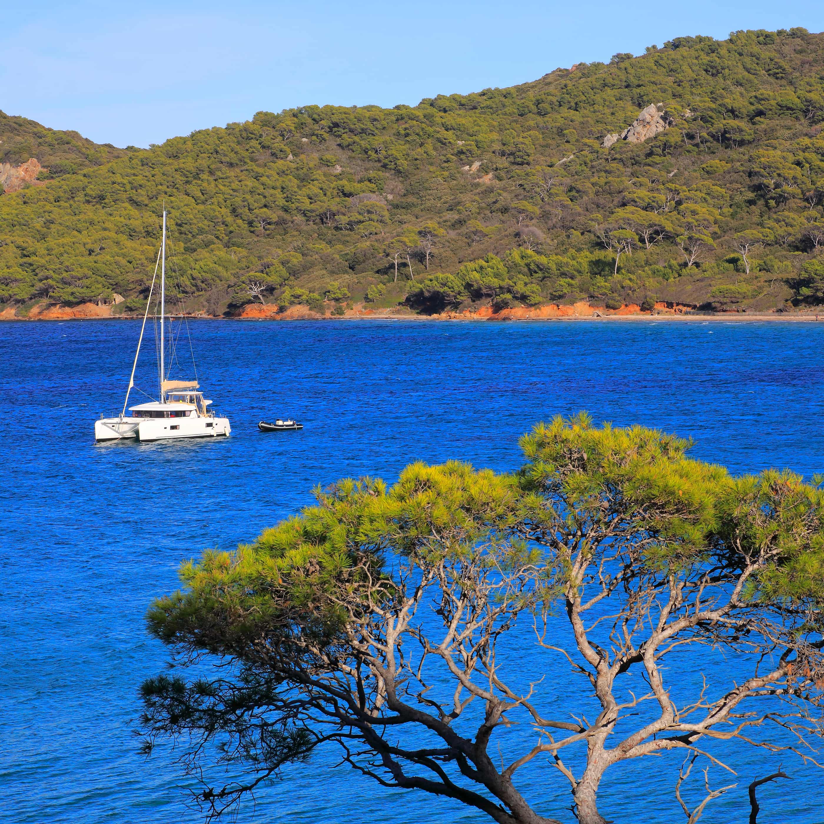 Un catamaran blanc est à l'ancre dans les eaux turquoise d'une baie méditerranéenne, bordée par des collines boisées, avec un pin parasol au premier plan.