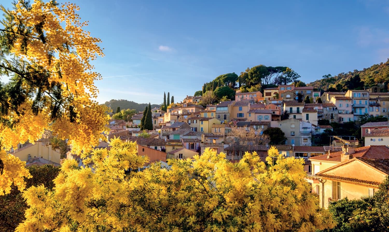 Un village provençal aux façades colorées s'étageant à flanc de colline, encadré au premier plan par de grands mimosas en pleine floraison jaune éclatant sous un ciel bleu.