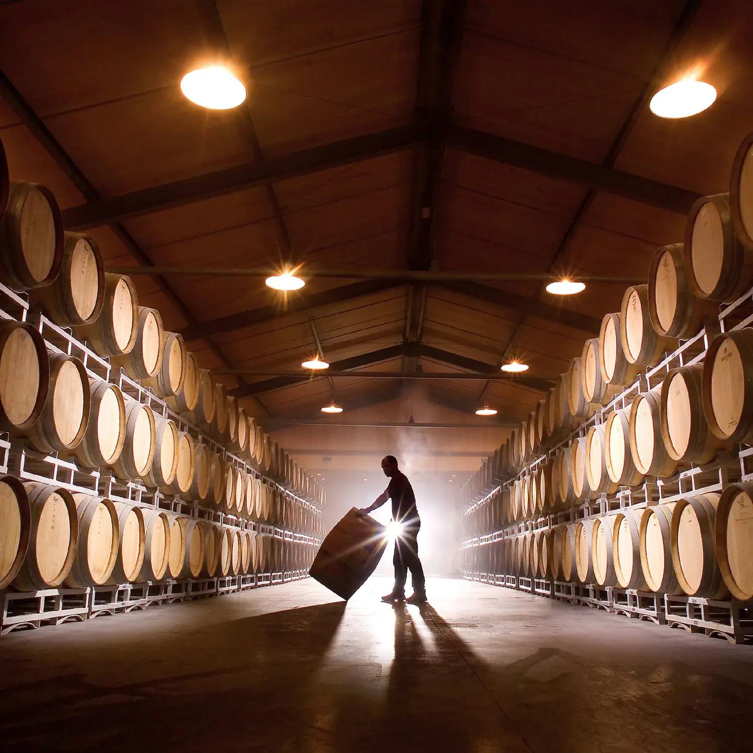 Homme portant un tonneau dans une cave rempli de tonneaux de vin.