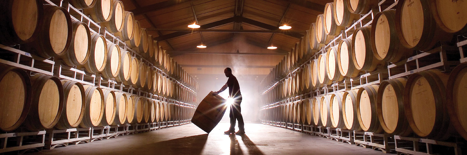 Cave du vignoble André Lurton avec des tonneaux de vins. Un vigneron inspecte un tonneau au centre de la photo